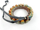 2001 Yamaha 225 HP 2 Stroke Outboard Stator Assembly 61A-85510-02-00 OEM