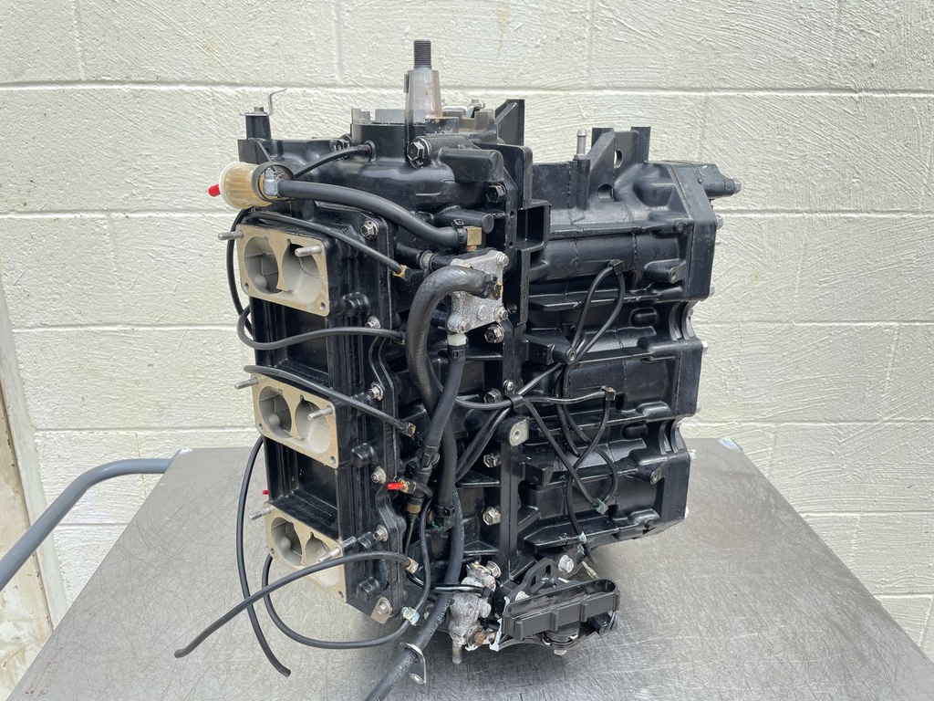 1999 Mercury 225 HP 2 Stroke Outboard Powerhead 809794A97 OEM