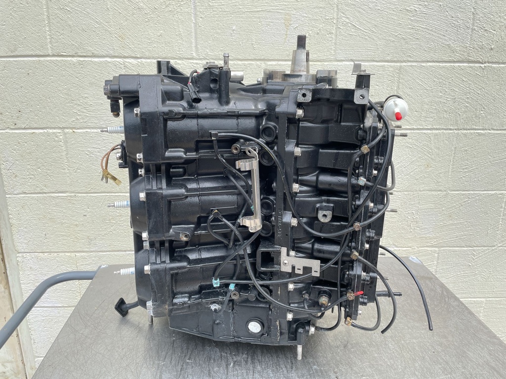 1999 Mercury 225 HP 2 Stroke Outboard Powerhead 809794A97 OEM