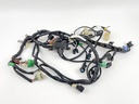 2004 Honda 130 HP 4 Stroke Outboard Engine Wire Harness 32520-ZW5-000 OEM
