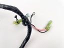 1986 Yamaha 40 HP 2 Stroke Outboard Engine Wire Harness 6H4-82590-20-00 OEM