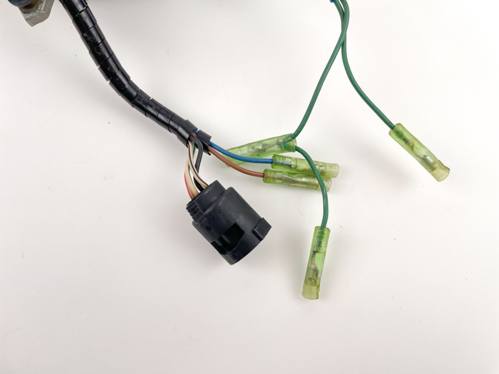 1986 Yamaha 40 HP 2 Stroke Outboard Stator W/ Lighting Coil Assembly 6H4-85510-F0 OEM