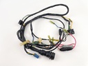 2002 Yamaha 150 HP 2 Stroke Outboard Engine Wire Harness 64D-82590-00-00 OEM