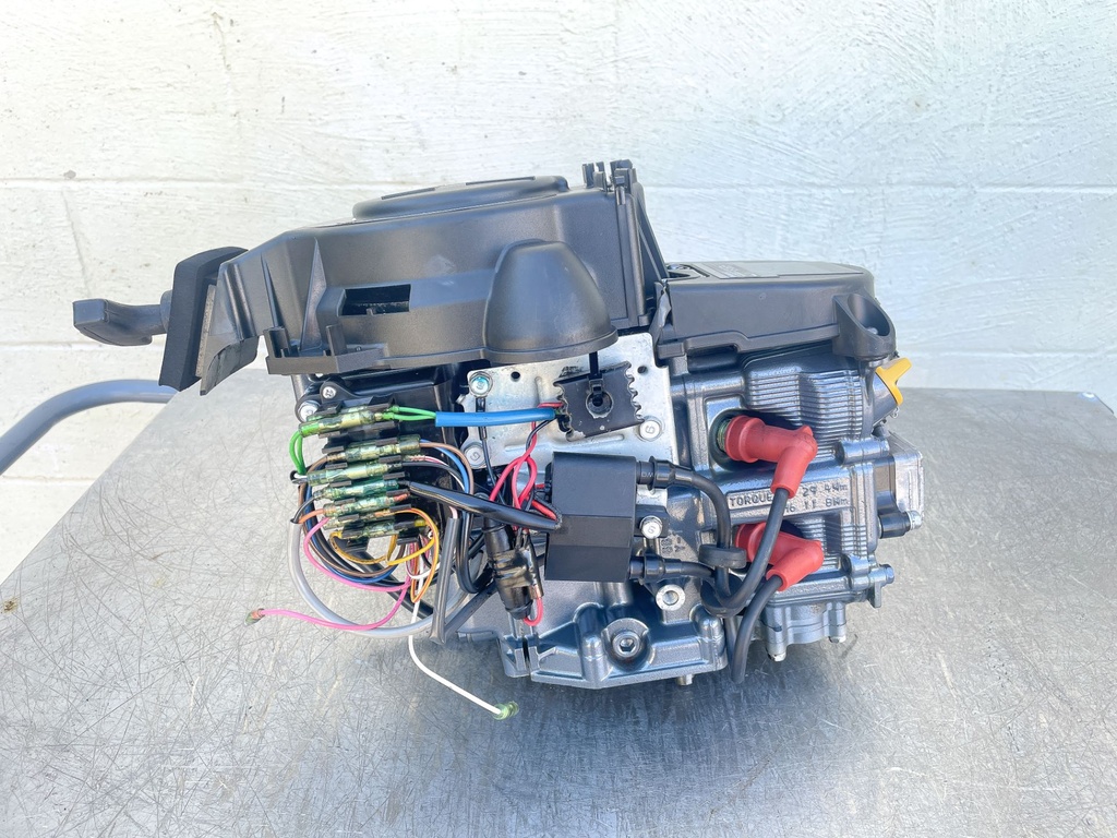 2001 Yamaha 6 HP 4 Stroke Outboard Powerhead 68T-W009B-00-4D OEM