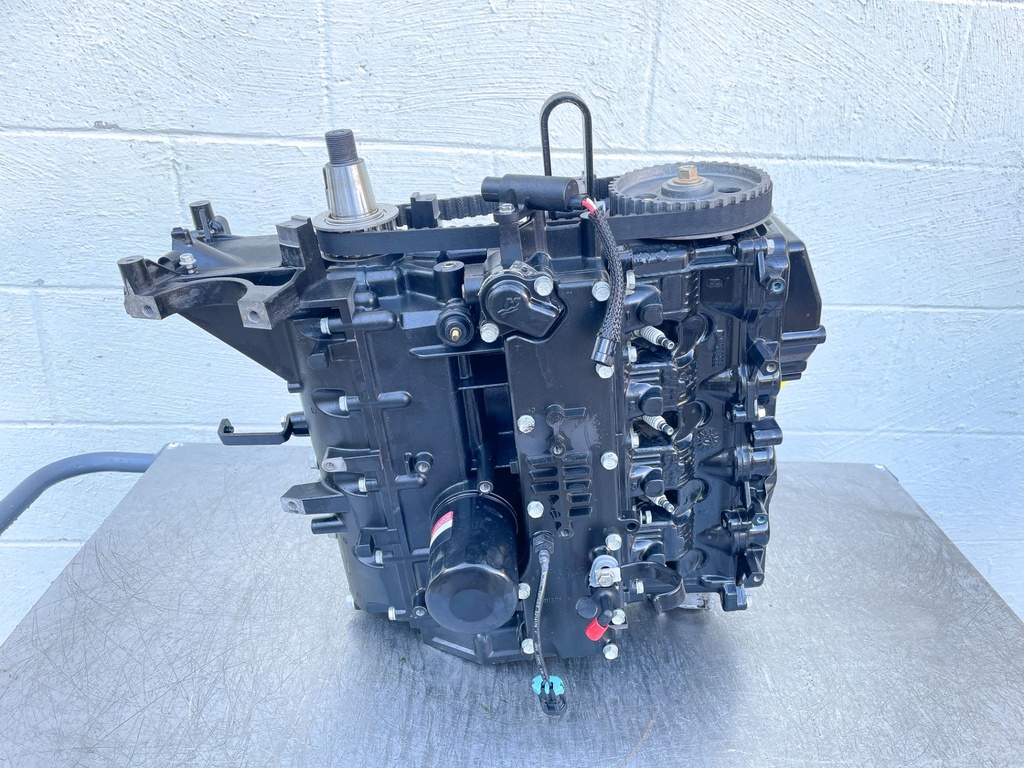 2018 Mercury 60 HP 4 Stroke Outboard Powerhead 893678T03 OEM