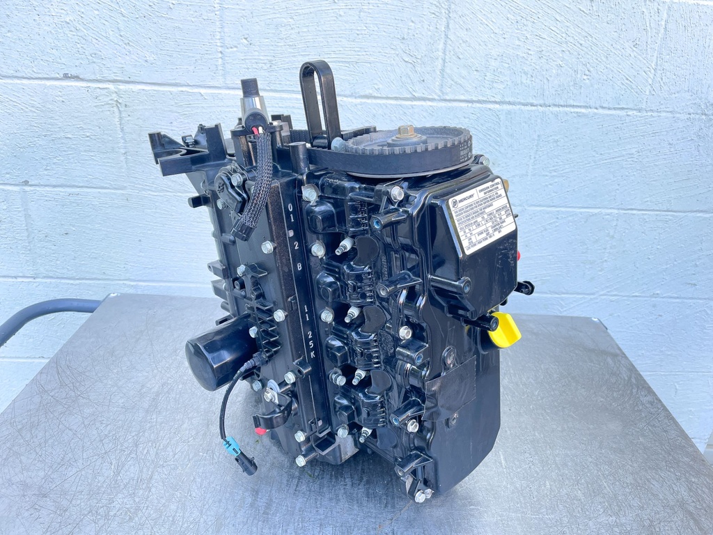 2018 Mercury 60 HP 4 Stroke Outboard Powerhead 893678T03 OEM