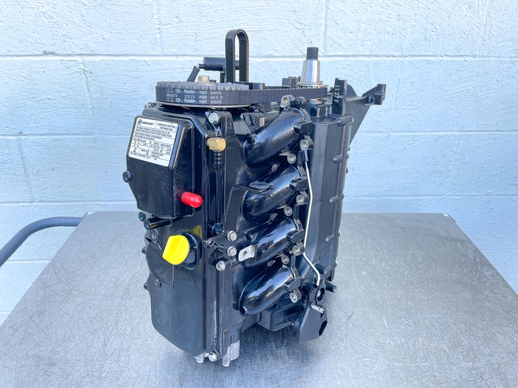 2018 Mercury 60 HP 4 Stroke Outboard Powerhead 893678T03 OEM