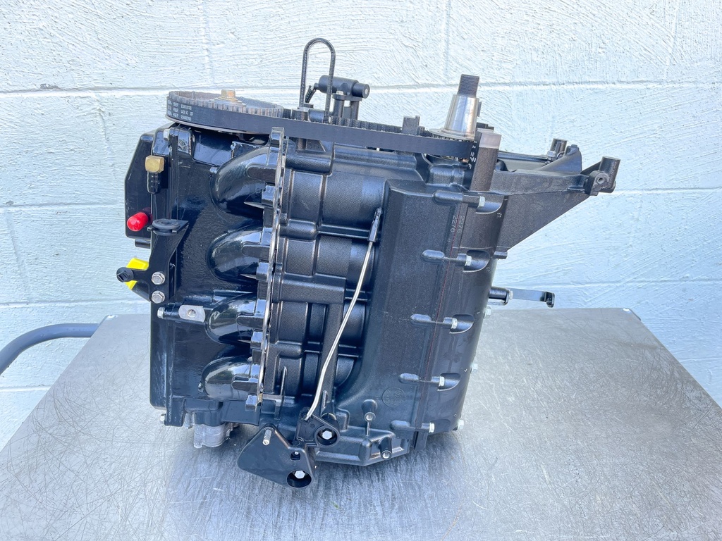 2018 Mercury 60 HP 4 Stroke Outboard Powerhead 893678T03 OEM