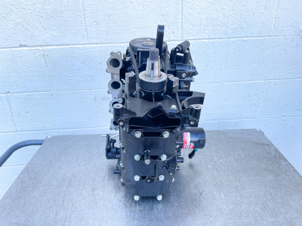 2018 Mercury 60 HP 4 Stroke Outboard Powerhead 893678T03 OEM