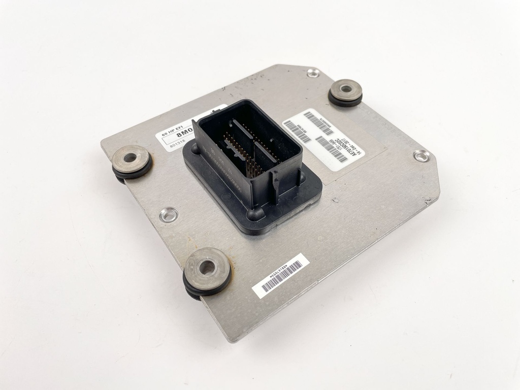 2018 Mercury 60 HP 4 Stroke Outboard Engine Control Unit ECU 8M0120419 OEM