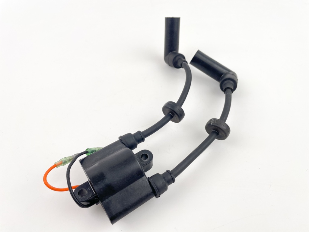 2001 Yamaha 9.9 HP 4 Stroke Outboard Ignition Coil 6G8-85570-21-00 OEM