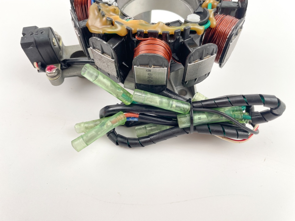 2001 Yamaha 9.9 HP 4 Stroke Outboard Coil Pulser Base Stator Assembly 6G9-85510-01-00 OEM