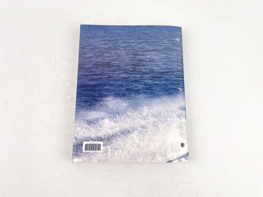 2011 Evinrude E-Tec Service Manual 200-300 HP; 90 deg V6 5008334