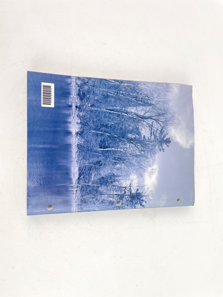 2010 BRP Evinrude E-Tec Marine 200,225,250,300 HP 90° V6 Service Manual 5008154