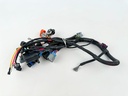 BRIGGS AND STRATTON 847409 - HARNESS-WIRING (BRIGGS OEM PART)
