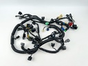 Honda 200 HP 4 Stroke Outboard Engine Wire Harness 32100-ZY2-000 OEM 2002
