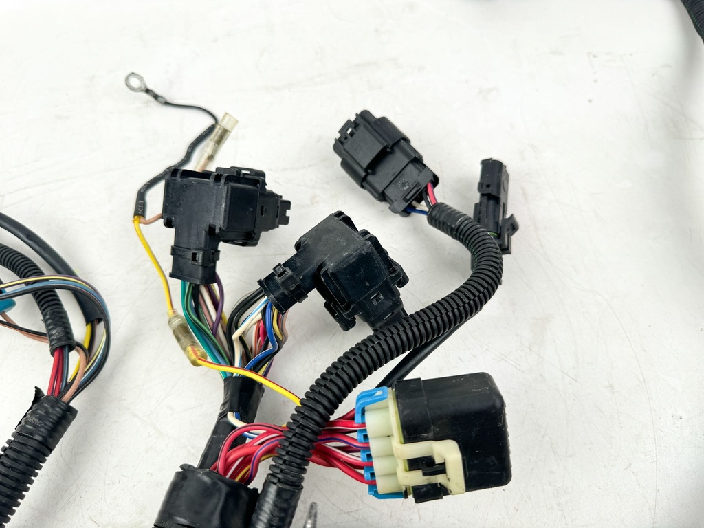 2004 Mercury 60 HP 4 Stroke Outboard Engine Wire Harness 893666T03 OEM