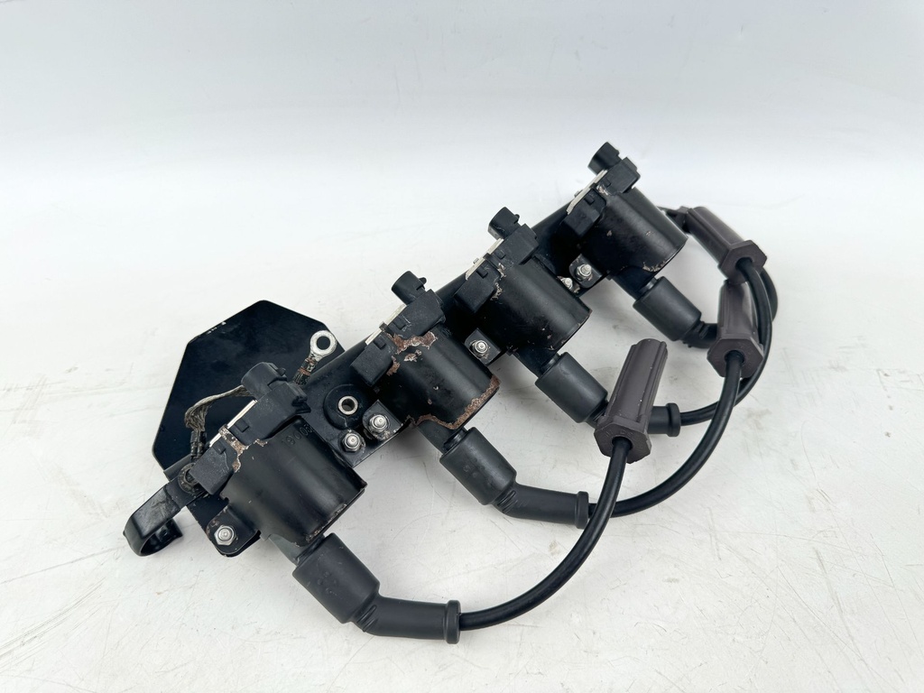 2004 Mercury 60 HP 4 Stroke Outboard Ignition Coil Set W/ Plate 879984T00 OEM