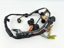 2001 Yamaha 80 HP 4 Stroke Outboard Engine Wire Harness 67F-82590-01-00 OEM