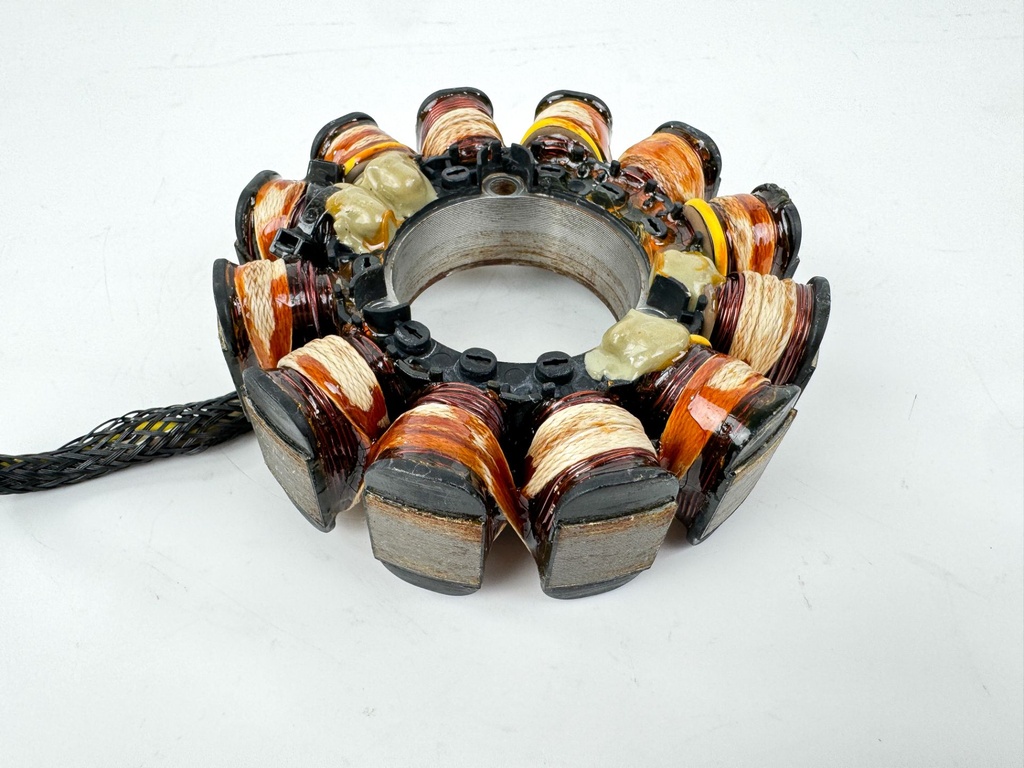 2015 Evinrude 30 HP 2 Stroke Outboard Stator Assembly 0586918 OEM