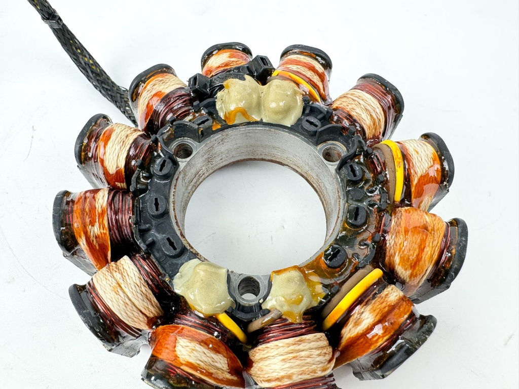 2015 Evinrude 30 HP 2 Stroke Outboard Stator Assembly 0586918 OEM