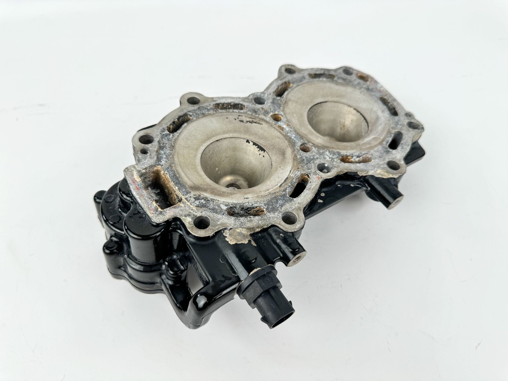2015 Evinrude 30 HP 2 Stroke Outboard Cylinder Head 0355133 OEM