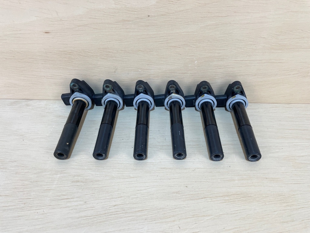 Mercury Verado Pencil Ignition Coil Assembly Set of 6 880615T01