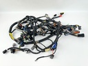 2005 Yamaha 250 HP 2 Stroke Outboard HPDI Engine Wire Harness 60V-82590-51-00 OEM