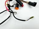 1996 Evinrude 50 HP 2 Stroke Outboard Engine Wire Harness 0586020 OEM