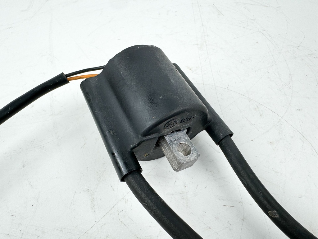 Yamaha 9.9 15 HP 4 Stroke Outboard Ignition Coil Assembly 66M-85570-00-00