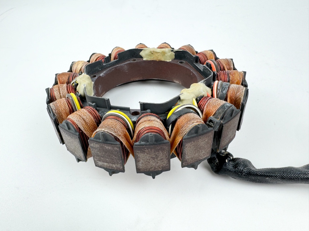 2006 Evinrude 250 HP 2 Stroke Outboard Stator Assembly 0586903 OEM