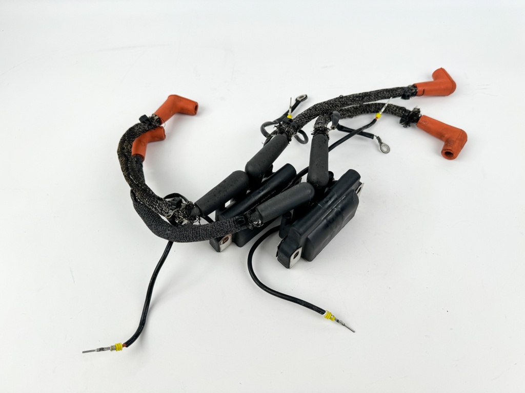 2006 Evinrude 250 HP 2 Stroke Outboard Ignition Coil Set 0586857 OEM