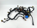 2006 Evinrude 250 HP 2 Stroke Outboard Engine Wire Harness 0586769 OEM