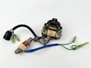 1985 Yamaha 40 HP 2 Stroke Outboard Coil Pulser Base Stator Assembly 6H4-85510-F9-00 OEM