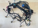 2009 Evinrude 175HP Etec Outboard Engine Wiring Harness Assembly 0587010