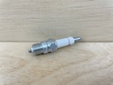 Champion RBL15Y Spark Plug Brand New OEM