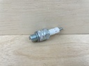Champion L-5 Spark Plug Brand New OEM