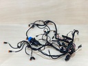 1999 Evinrude Ficht 175HP Outboard Engine Wiring Harness E175FPXEEC