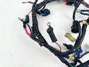 2011 Yamaha 70 HP 4 Stroke Outboard Engine Wire Harness 6CJ-82590-00-00 OEM