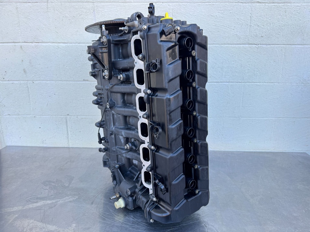 2008-16 Mercury 200 225 250 275 300 HP L6 4 Stroke Powerhead 895247A07 OEM