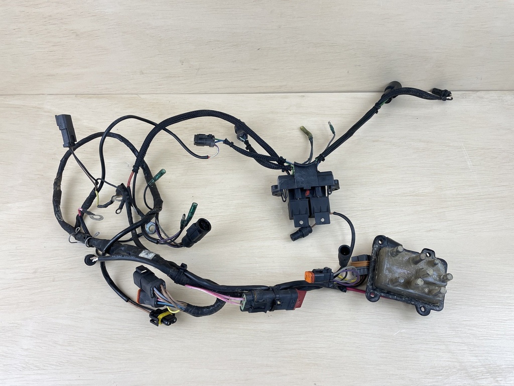 1998 Evinrude 150HP Outboard 2 Stroke Wiring Harness Assembly 0586028