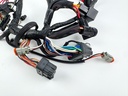 2005 Evinrude 115 HP 2 Stroke Outboard Engine Wire Harness 0586716 OEM