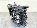 2008 Evinrude 115HP 2 Stroke Etec Outboard Powerhead 5007435 OEM