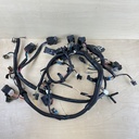 2004 Mercury 40HP 4 Stroke Outboard Engine Wire Harness Assembly 893666T03