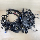 2012 Yamaha 200HP 3.3L 4 Stroke Engine Wire Harness Assembly 6P2-82590-44-00