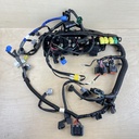2010 Yamaha 90HP 4 Stroke Engine Wire Harness Assembly 6D8-82590-30-00