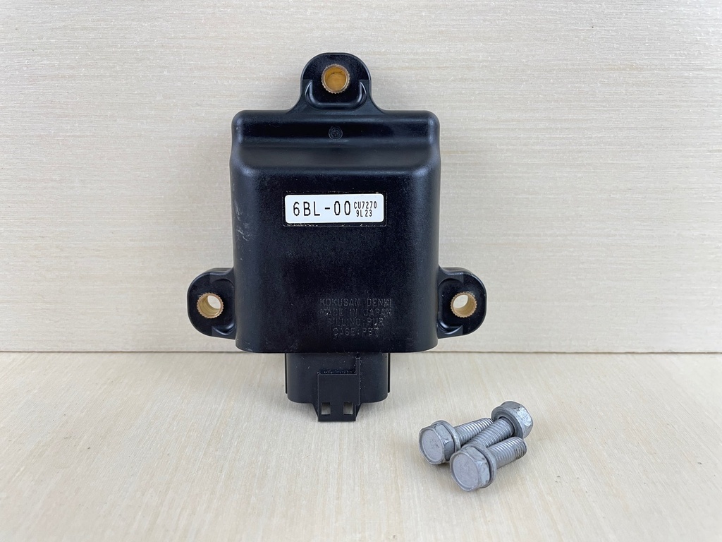 2010 Yamaha 25HP 4 Stroke Outboard C.D.I. CDI Unit Assembly ECU 6BL-85540-00-00
