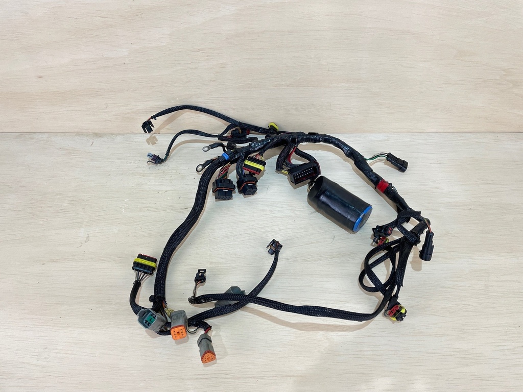 2007 Evinrude Etec 40HP Outboard Engine Wiring Harness Assembly 0586863