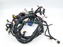 2008 Evinrude 250 HP 2 Stroke Etec Engine Wire Harness 0586991 OEM