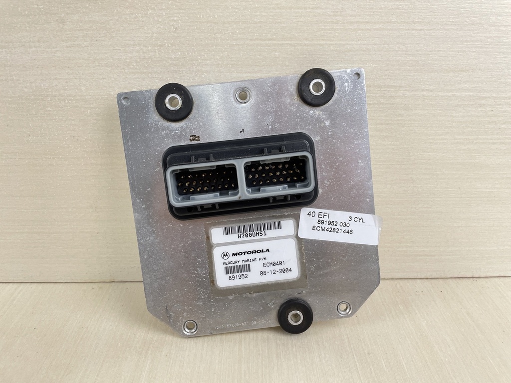 2005 Mercury 40HP 4 Stroke Outboard Engine Control Module ECM ECU 89195229T